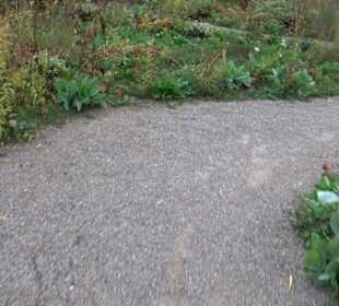 Garten Großbritanien