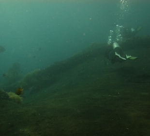 Die Überreste der Liberty