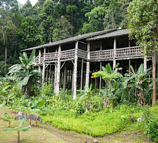 Orang Ulu Langhaus