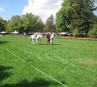 Mittelalterliches Spectaculum 