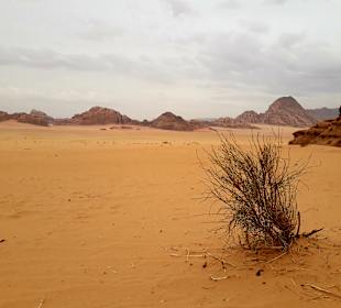 Wüstenlandschaft Wadi Rum