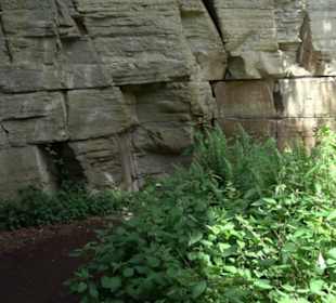 Wanderweg - Alter Steinbruch Pfaffenberg Runde