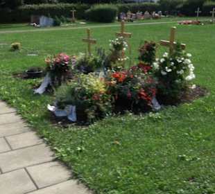 Friedhof