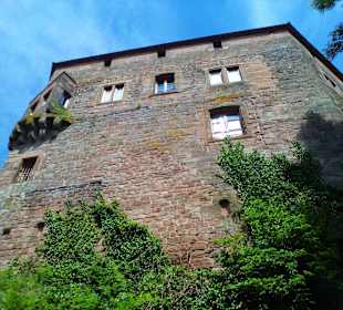 Schloss Lützelstein in La Petite Pierre