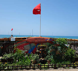 Segel- & Surfschule Seebär Side