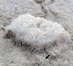 Impressionen von den Salzflächen