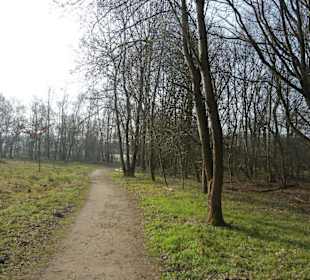 Wunderschöne Boberger Niederung