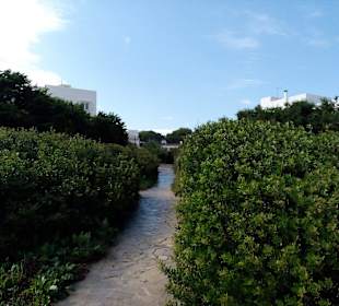 Caló de Sa Galera in Cala d'Or