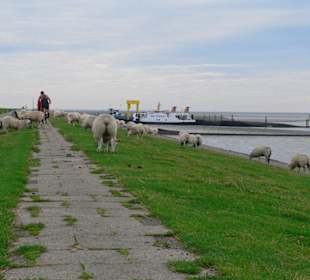 Auf dem Deich zum Hafen