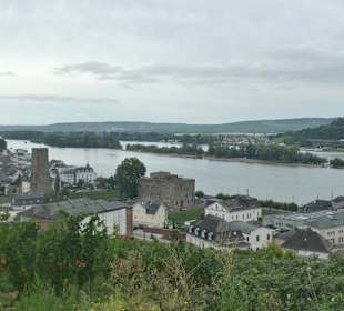 September 2023: Wanderung bei Rüdesheim