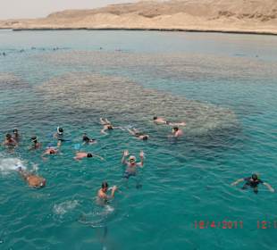 "Schnappi-Group" im Wasser