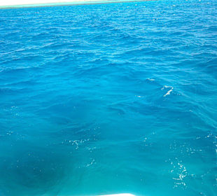 Glasklares Wasser für schöne Schnorchelerlebnisse