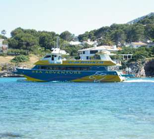 Bateau a fond de verre