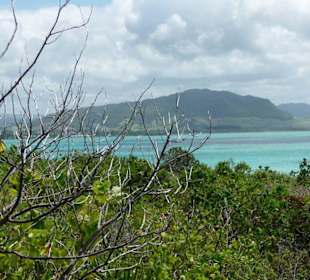 Ausblick von der Insel Ile aux Aigrettes
