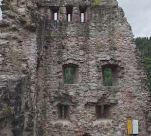 Ruine Schenkenburg