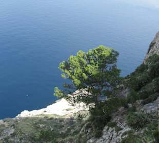 Formentor