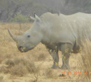Amboseli Nationalpark