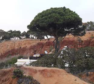 Strand Praia da Falésia