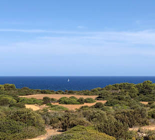 Castell de la Punta de n'Amer Castle