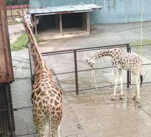 Zoo Olomouc