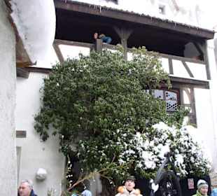 Замок дракулы