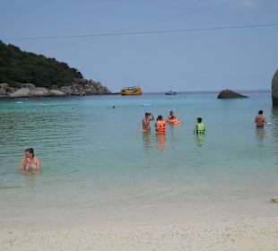 Insel Koh Tao