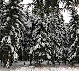 Wandern Schmiedefeld am Rennsteig