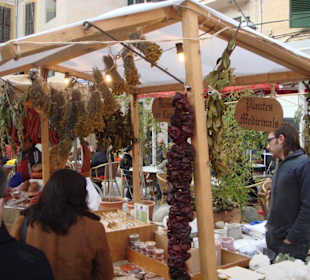 1. März - 'Nationalfeiertag' der Balearen