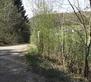 Waldlehrpfad an der Lauter