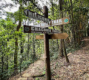 Asa Wright Nature Center