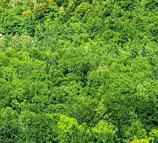 Hier ist der Stollen