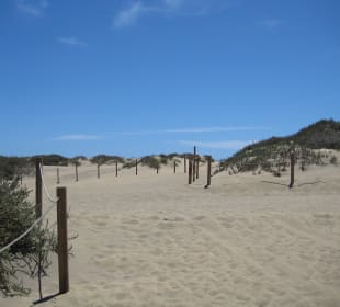 Dünen von Maspalomas