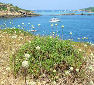 Küste an der Rückseite von Es Grau