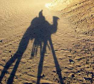 Schatten in der Wüste