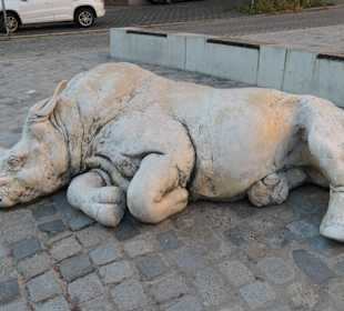 Das schlafende Nashorn in Nürnberg am Egidienplatz