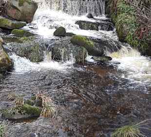 Wandern Bad Peterstal-Griesbach