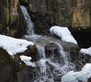 Freilichtmuseum Skansen