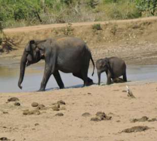National Park Uda Walawe