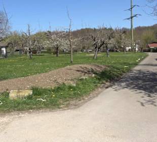 Wanderung Florianrunde