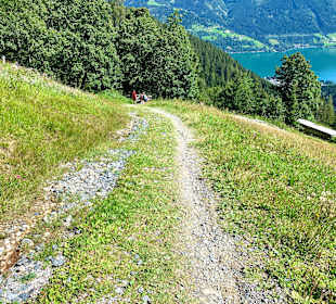 Wandern Zell am See
