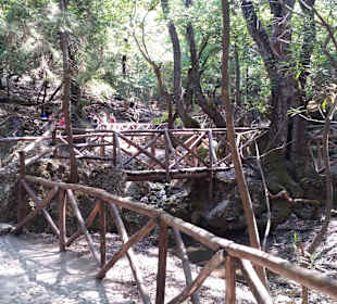 Ausflug ins Tal der Schmetterlinge