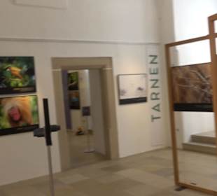 Museum für Ur- und Frühgeschichte