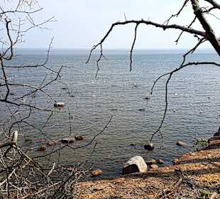 Apollo Tagestour zur Greifswalder Oie 