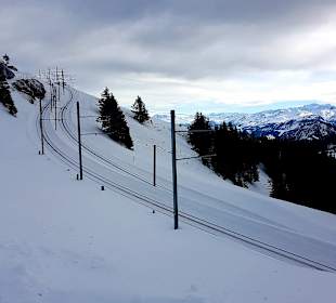 Vitznau Rigi-Bahn
