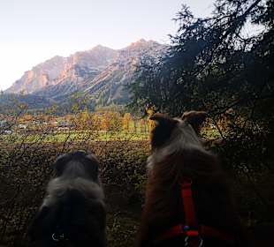 Wandern Ramsau am Dachstein