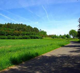 Wanderung zum Bärenfels