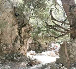 Wandern Georgioupolis