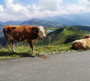 Wandern Fieberbrunn