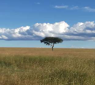 Landschaft in Masai mara