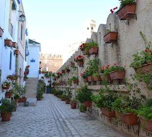 Rundgand durch die Medina